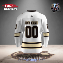 Personalized AHL Hershey Bears Hockey Jersey 2024 6