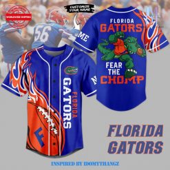 Florida Gators 2024 Custom Name Baseball Jersey