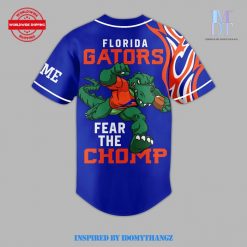 Florida Gators 2024 Custom Name Baseball Jersey