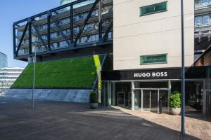 Hugo Boss Foundation Champions Sustainable Agriculture: A Visionary Partnership with GVK Society in India