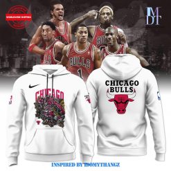 Chicago Bulls x Warren Lotas 2024 Limited Edition Hoodie